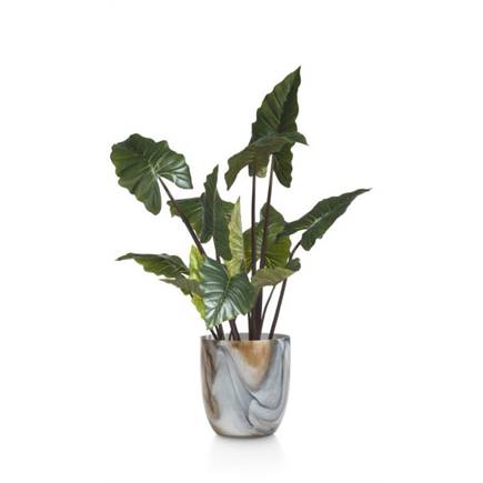 Coco Maison Colocasia H130cm